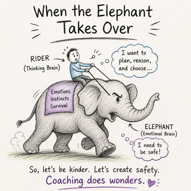 Illustration of the Rider and the Elephant, a metaphor for the thinking brain and the emotional brain